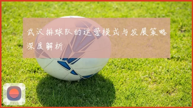 武汉排球队的运营模式与发展策略深度解析