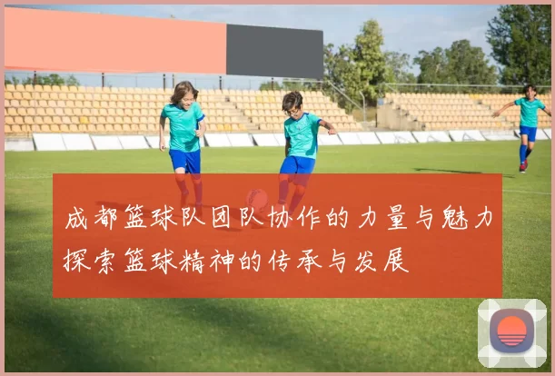 成都篮球队团队协作的力量与魅力探索篮球精神的传承与发展