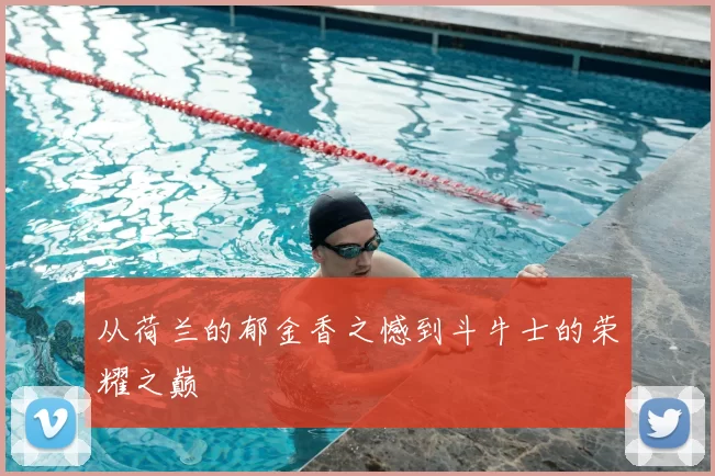 从荷兰的郁金香之憾到斗牛士的荣耀之巅