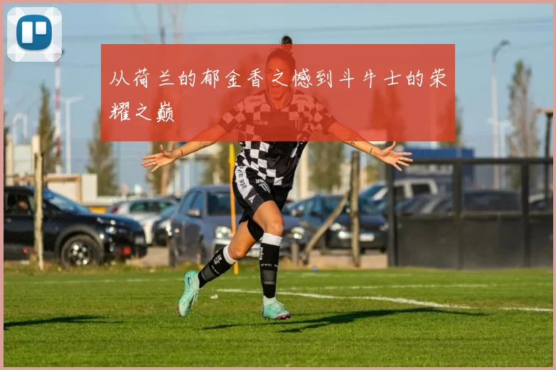 从荷兰的郁金香之憾到斗牛士的荣耀之巅