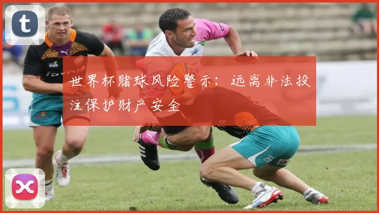 世界杯赌球风险警示:远离非法投注保护财产安全