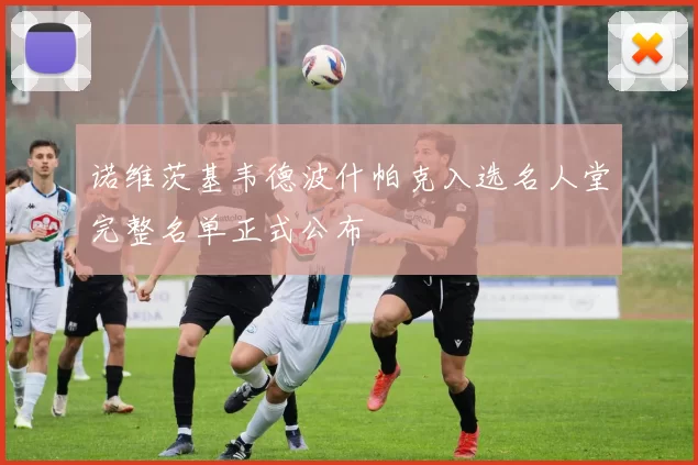 诺维茨基韦德波什帕克入选名人堂完整名单正式公布