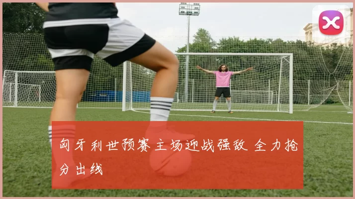 匈牙利世预赛主场迎战强敌 全力抢分出线