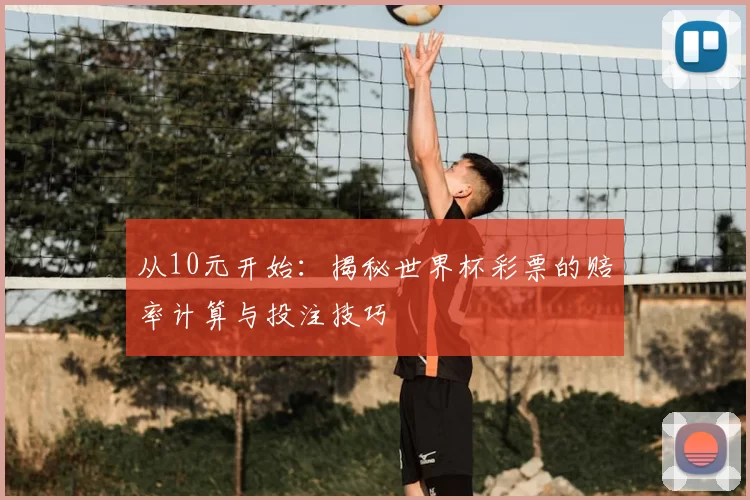 从10元开始：揭秘世界杯彩票的赔率计算与投注技巧