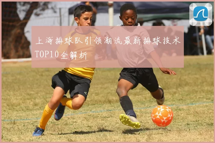 上海排球队引领潮流最新排球技术TOP10全解析
