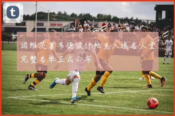 诺维茨基韦德波什帕克入选名人堂完整名单正式公布
