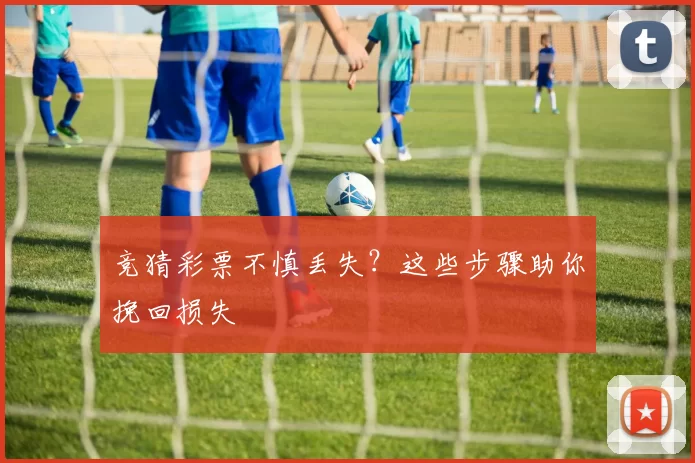 竞猜彩票不慎丢失？这些步骤助你挽回损失