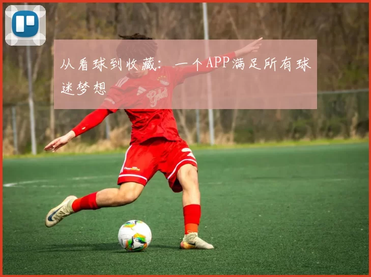 从看球到收藏：一个APP满足所有球迷梦想