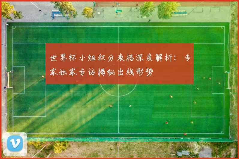 世界杯小组积分表格深度解析：专家独家专访揭秘出线形势