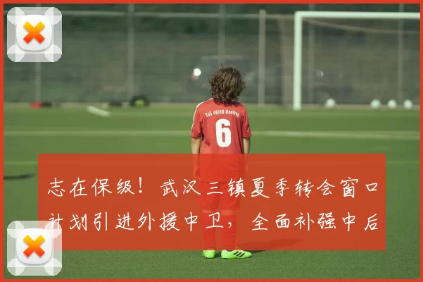 志在保级!武汉三镇夏季转会窗口计划引进外援中卫,全面补强中后场内援_防守_防线_中超