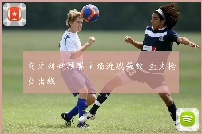 匈牙利世预赛主场迎战强敌 全力抢分出线