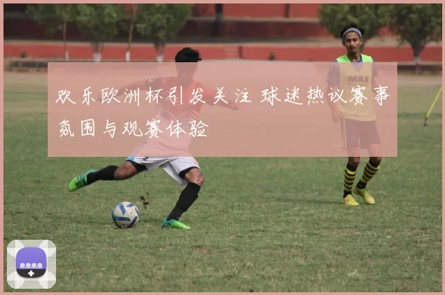 欢乐欧洲杯引发关注 球迷热议赛事氛围与观赛体验