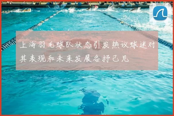 上海羽毛球队状态引发热议球迷对其表现和未来发展各抒己见